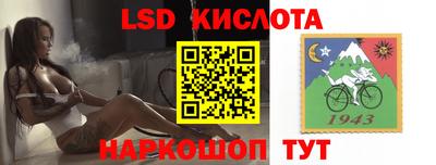 соль ск Новозыбков