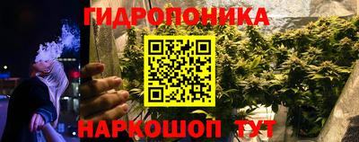 гидропоника Новодвинск
