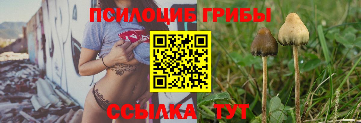Галлюциногенные грибы Psilocybine cubensis Россошь